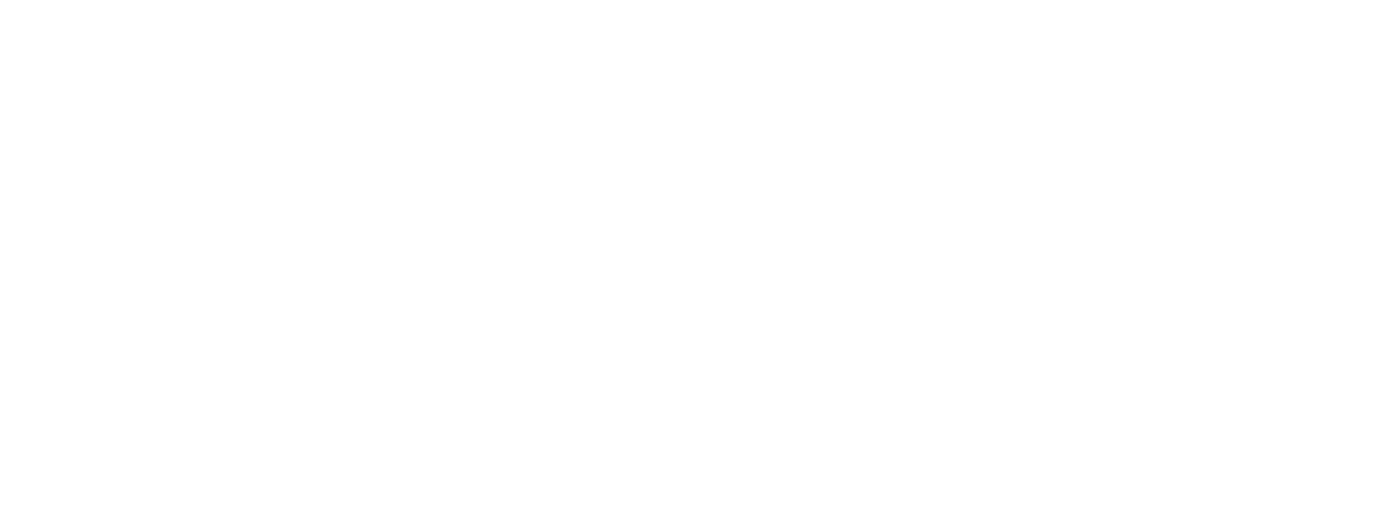 Kien Viet Media