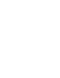 Vietnam Association of Architects